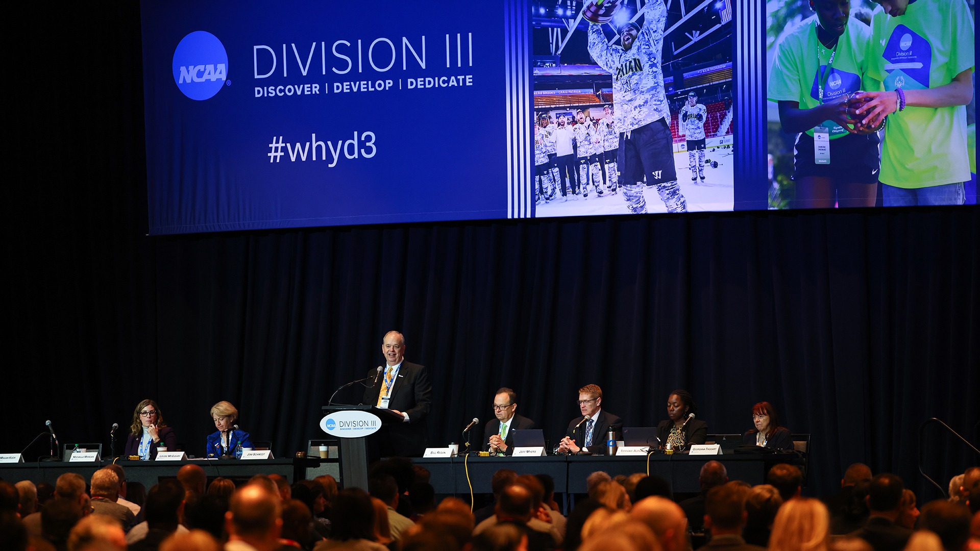 Division III passes legislation to alter council and committee compositions