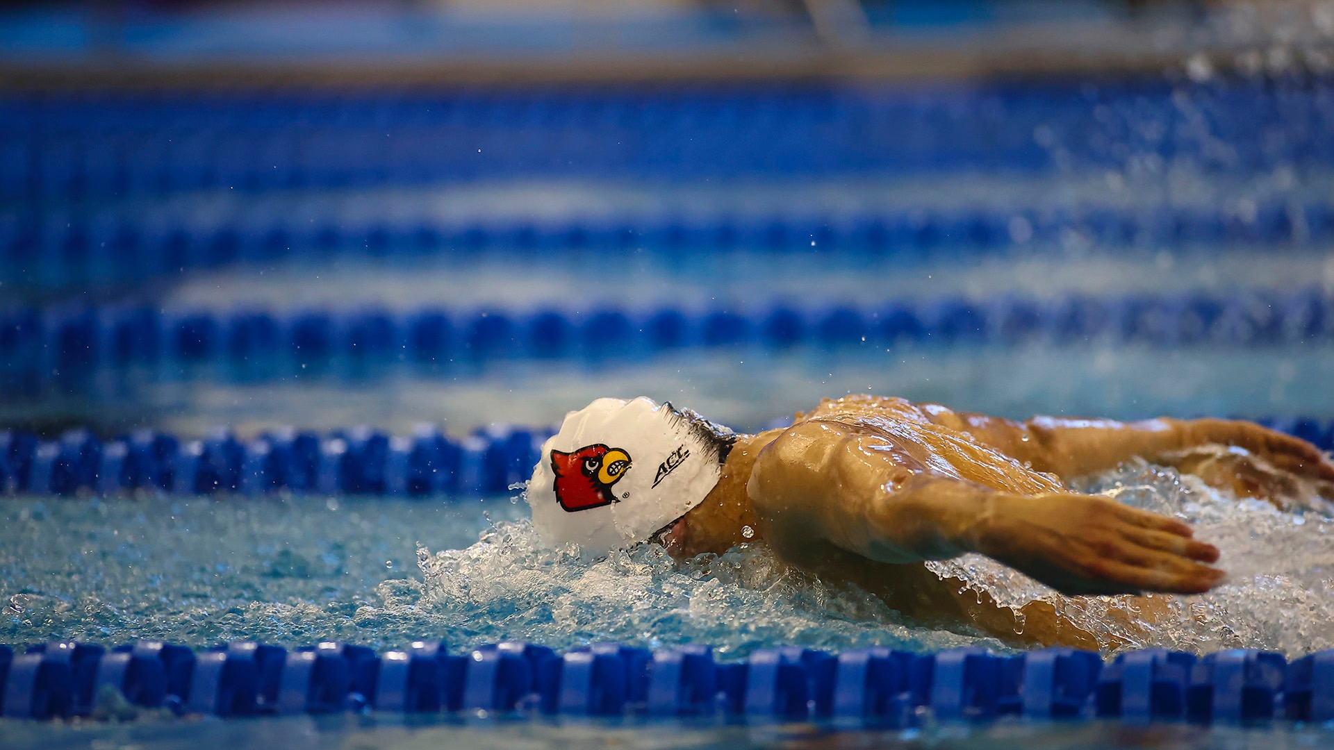 Albiero won five straight ACC titles in the 200-yard butterfly during his standout career at Louisville.