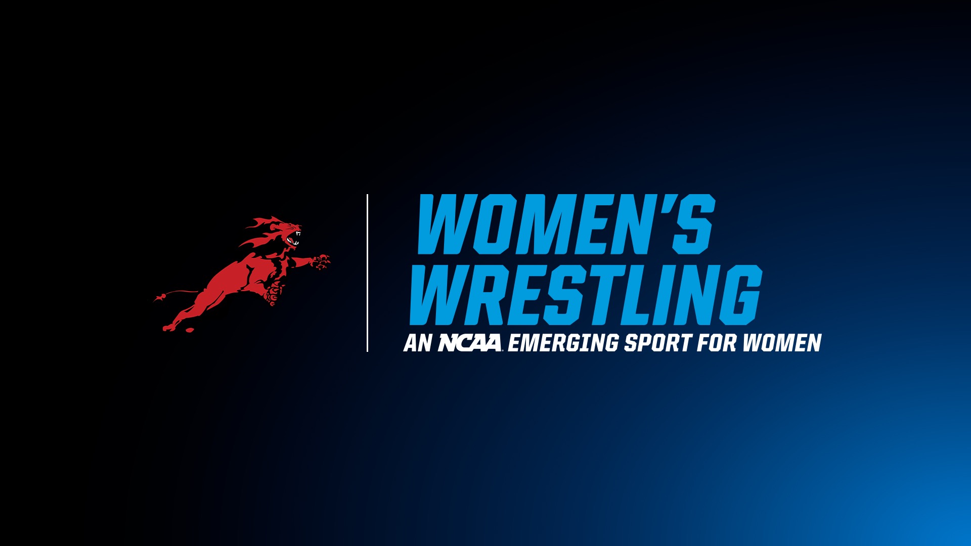 Albright to add women’s wrestling as varsity sport in 2026