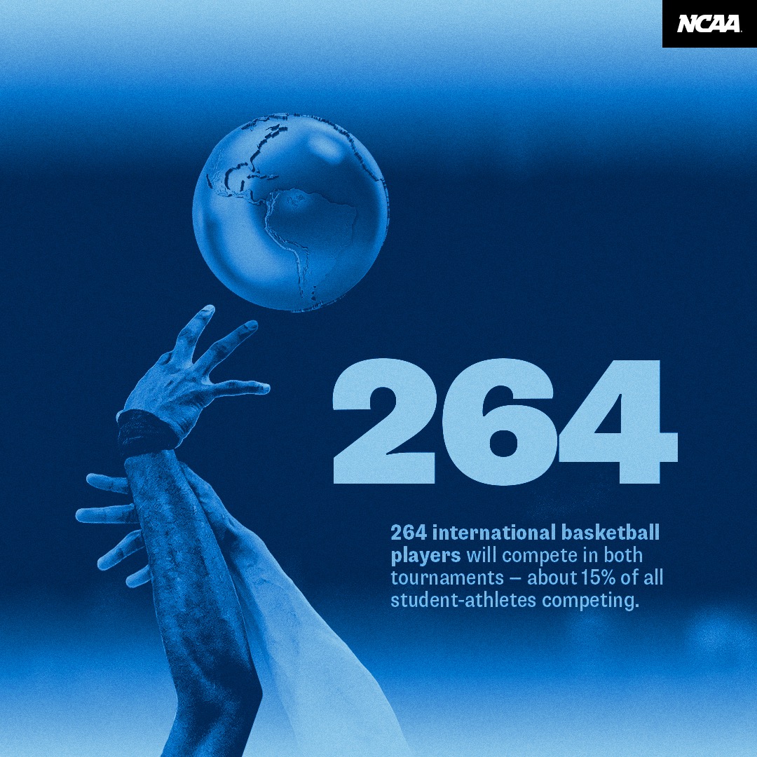 264 international basketball players