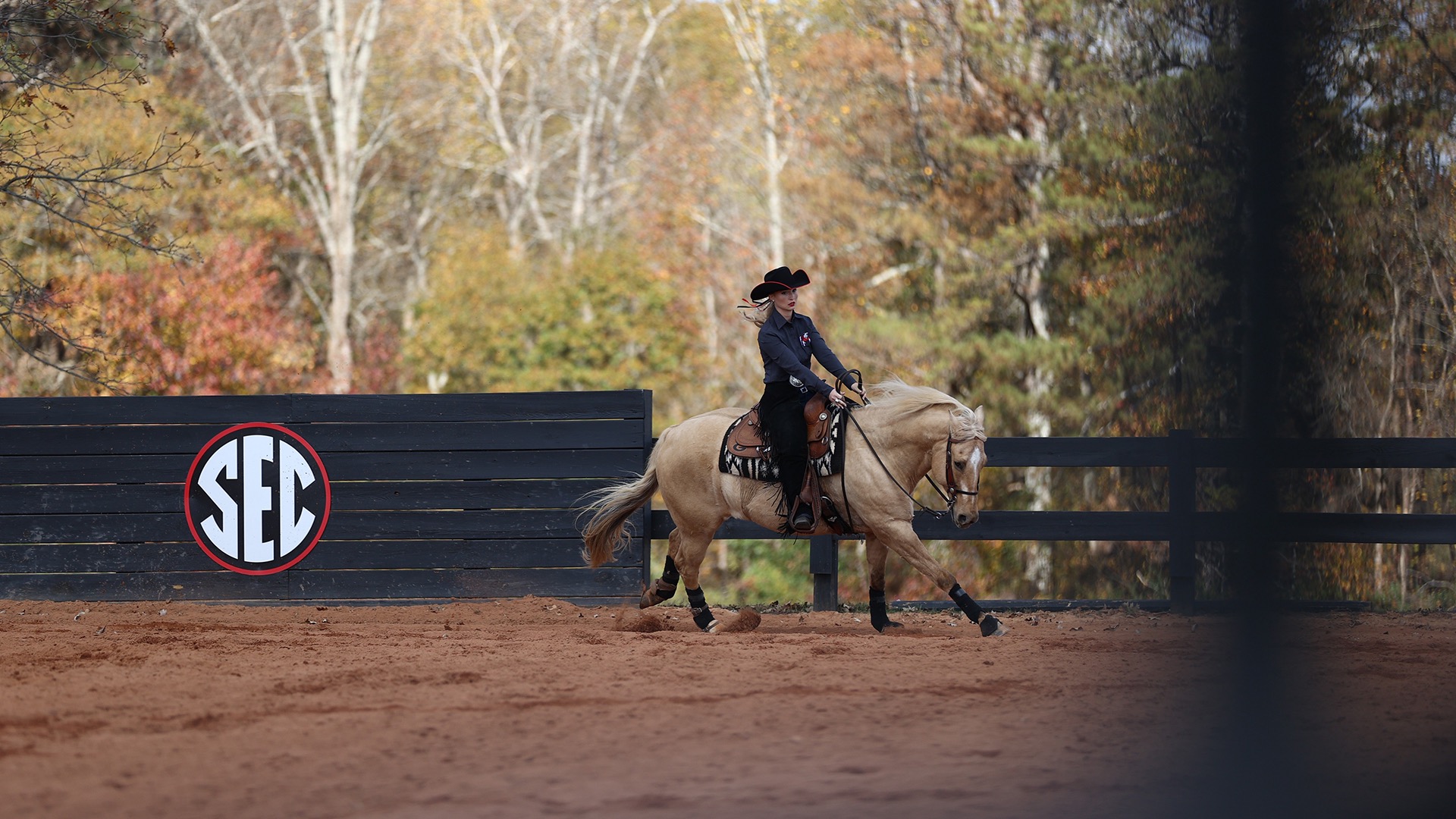 Lyons was an equestrian student-athlete at Georgia from 2019-2024. (Photos courtesy of Caitlin Lyons)