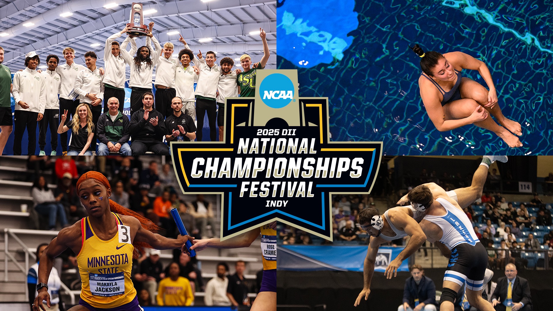 Division II National Championships Festival: By the numbers