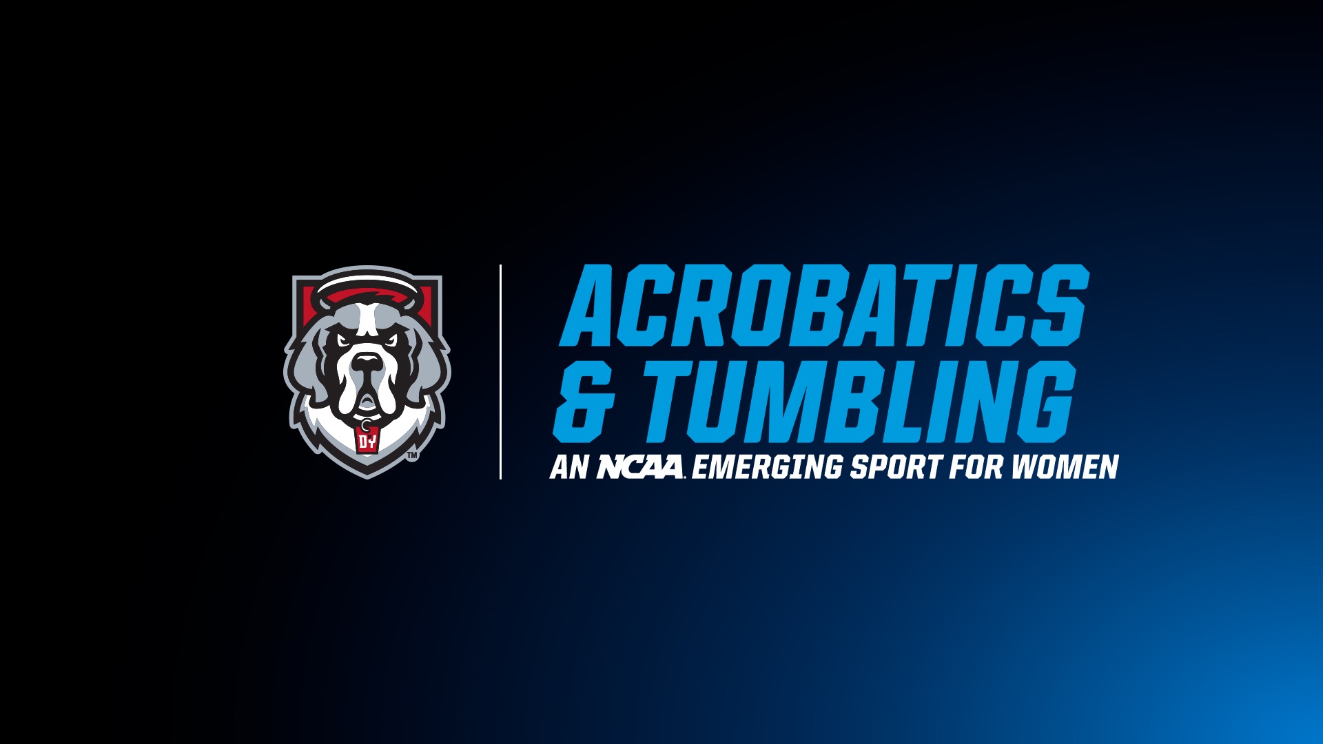 D'Youville announces addition of acrobatics and tumbling