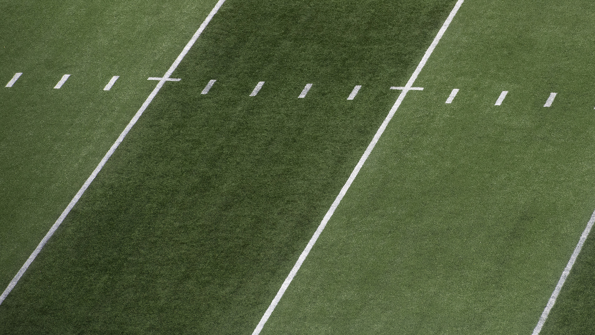 Public reprimand issued to Ferris State football student-athlete