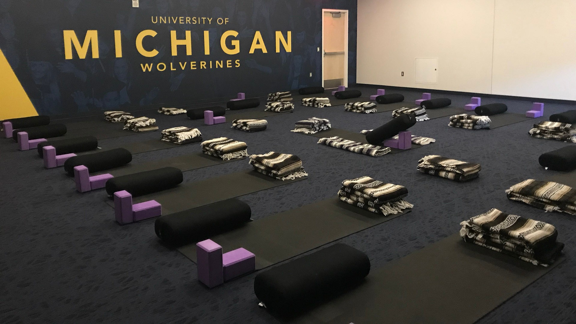 Michigan’s Athletes Connected program supports student-athlete well-being