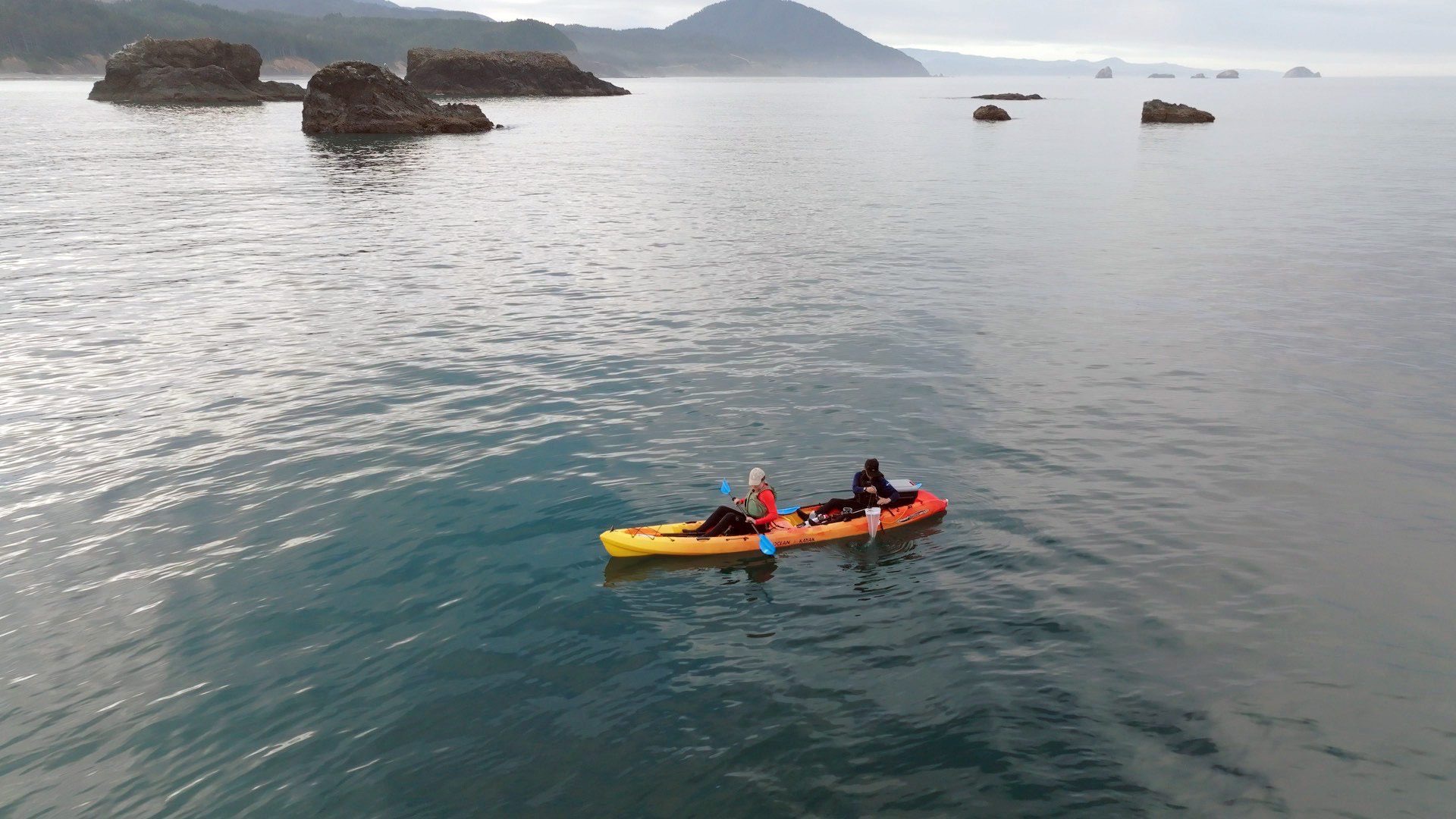 Sophia Kormann '25 and her colleague gather water samples as part of a research project studying gray whale foraging ecology.