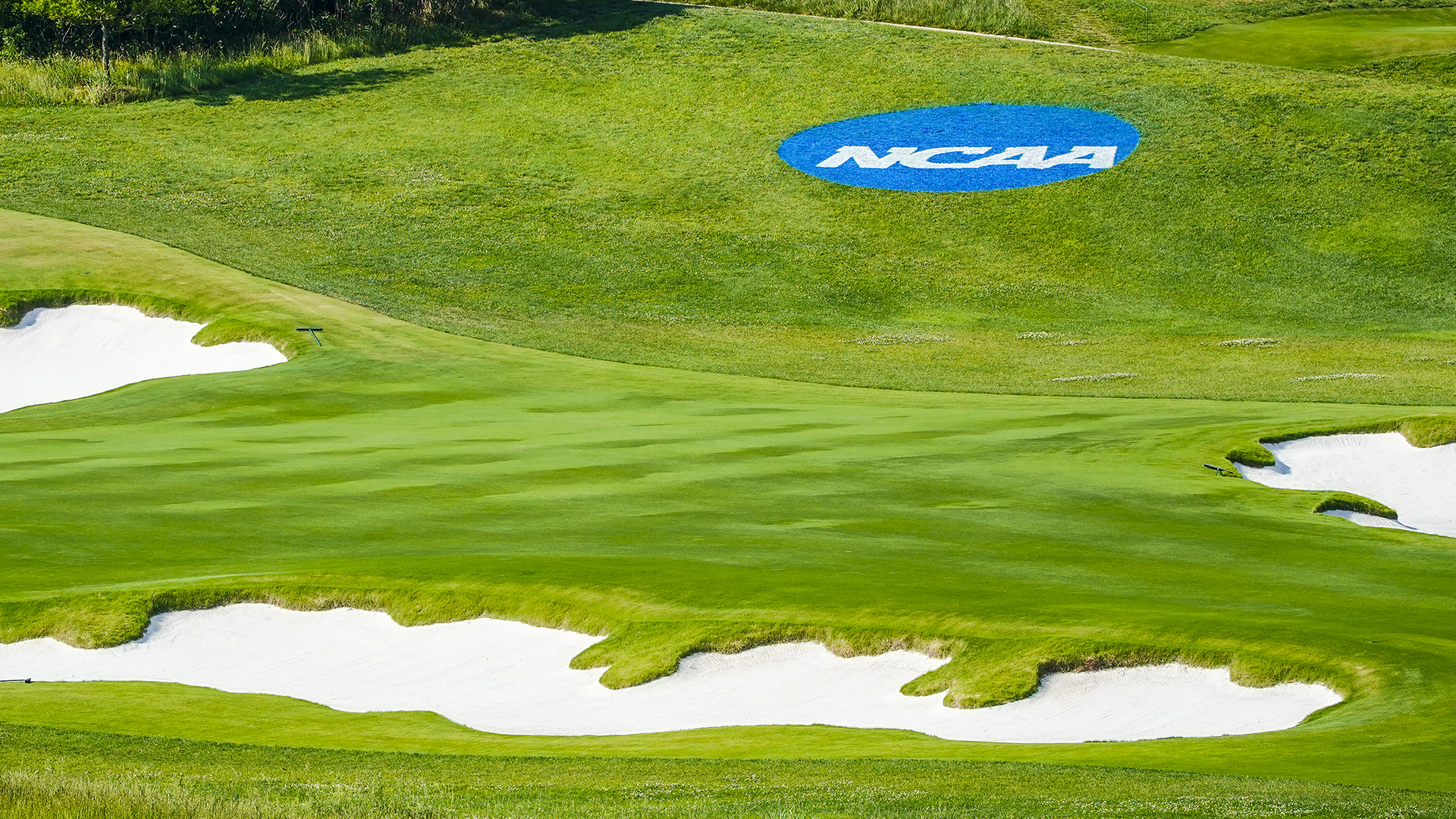 Clippd named to manage NCAA golf scoring and rankings