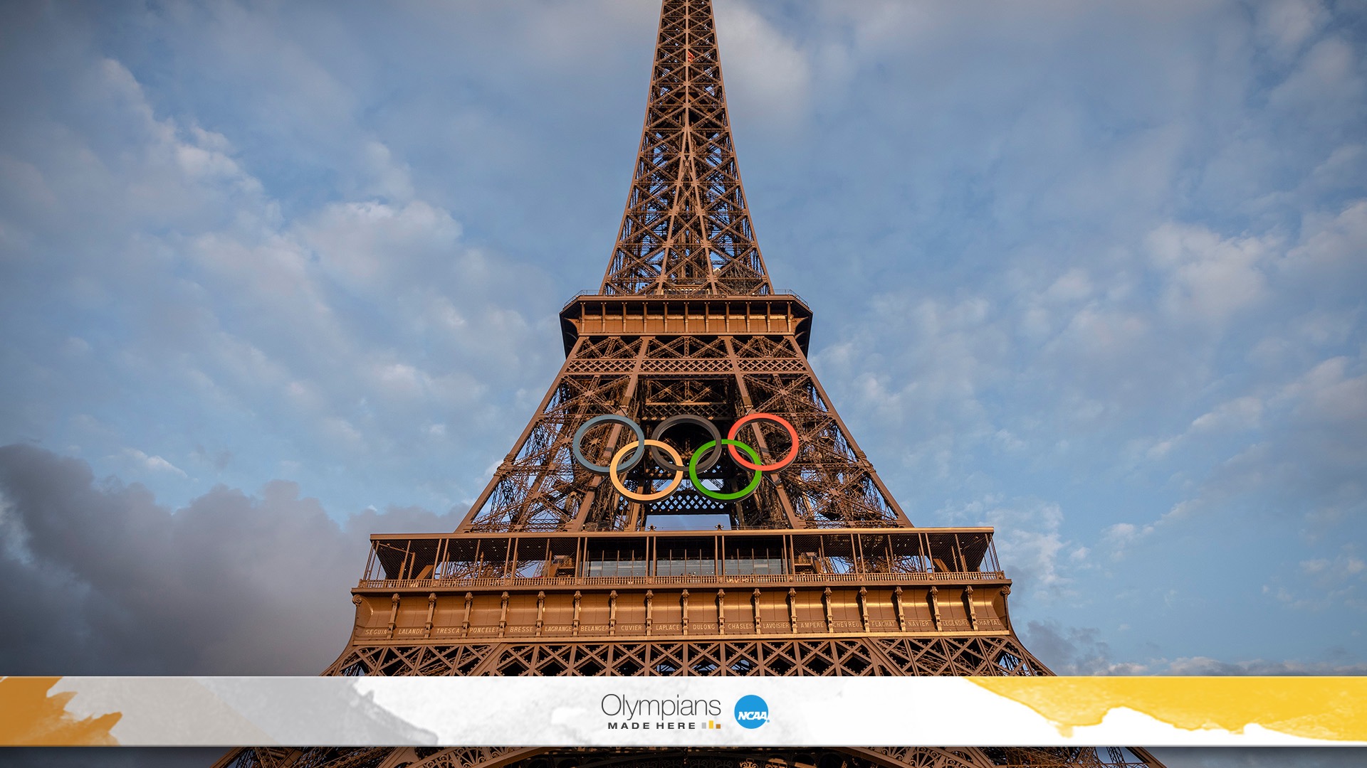 NCAA footprint at the Olympics