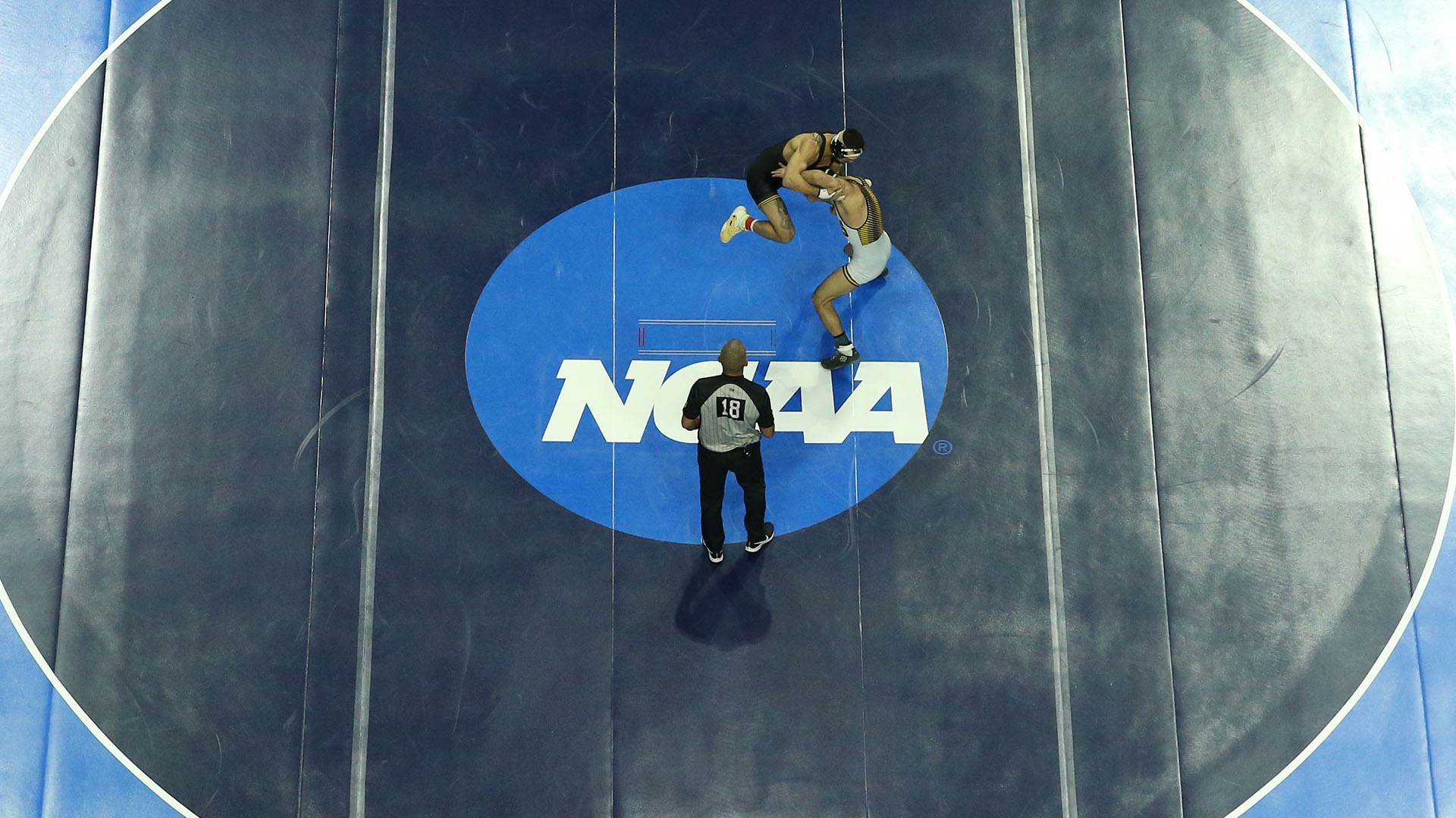 Chung named secretary-rules editor for wrestling