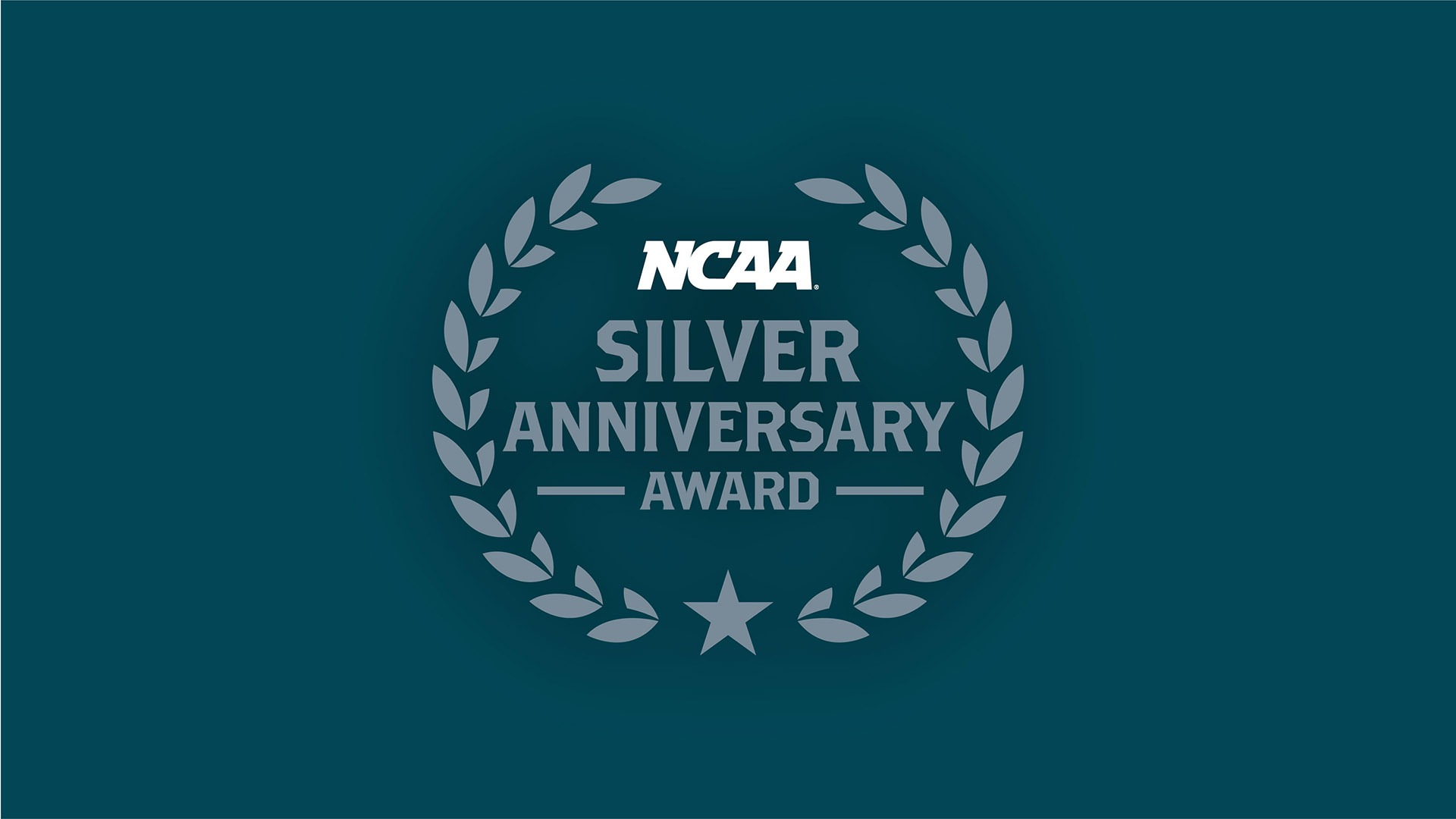 Meet the 2024 Silver Anniversary Award recipients
