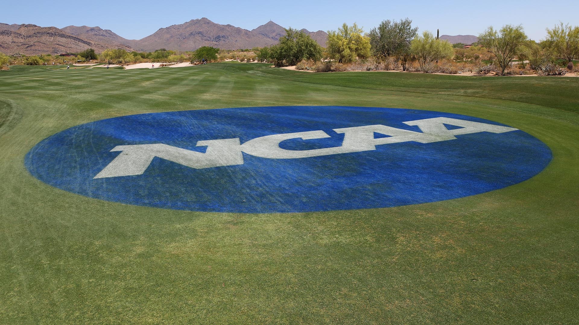 Spikemark Golf named to manage NCAA golf scoring and ranking services