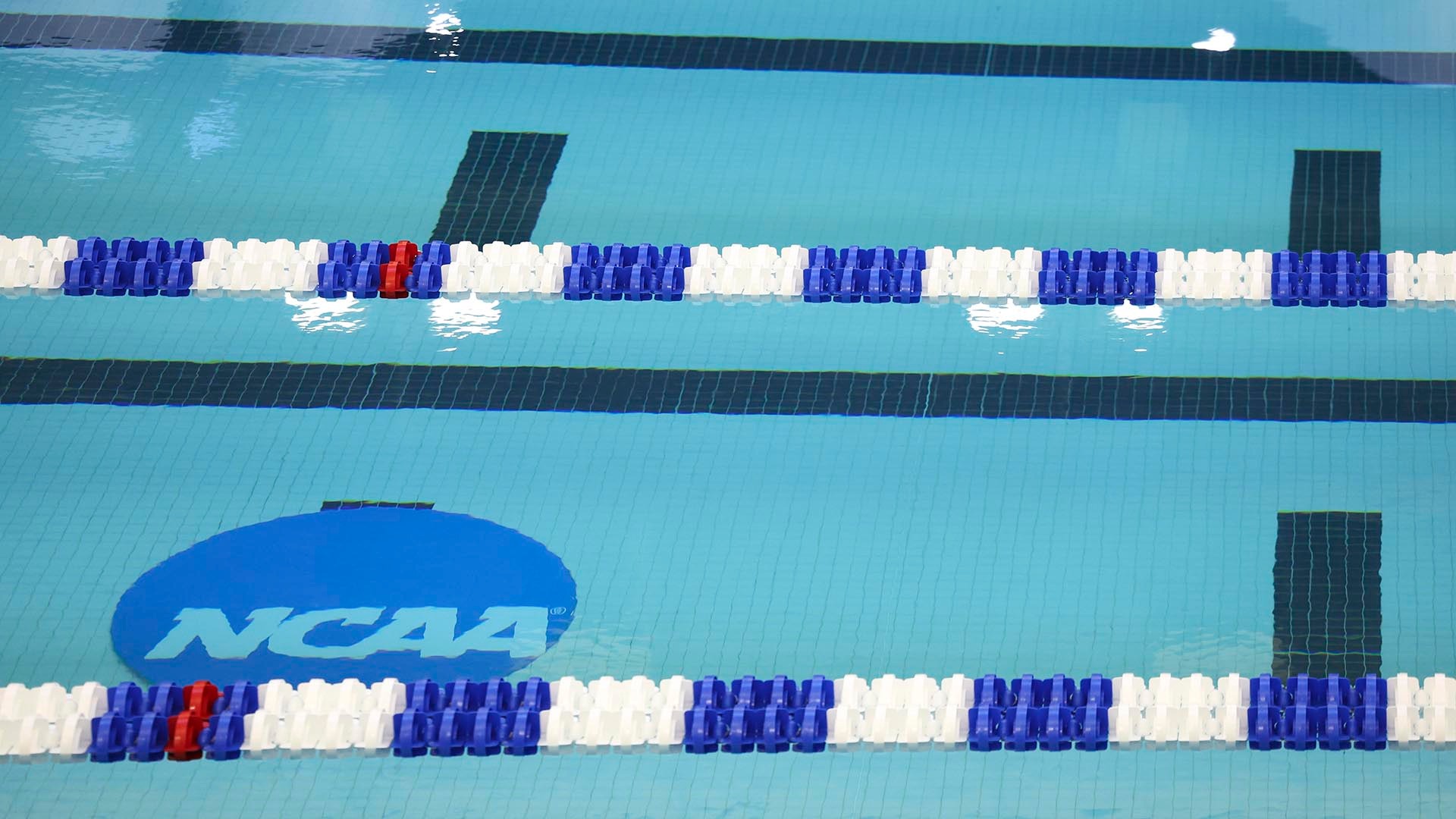 Clearer definition proposed for bona fide competition in swimming and diving