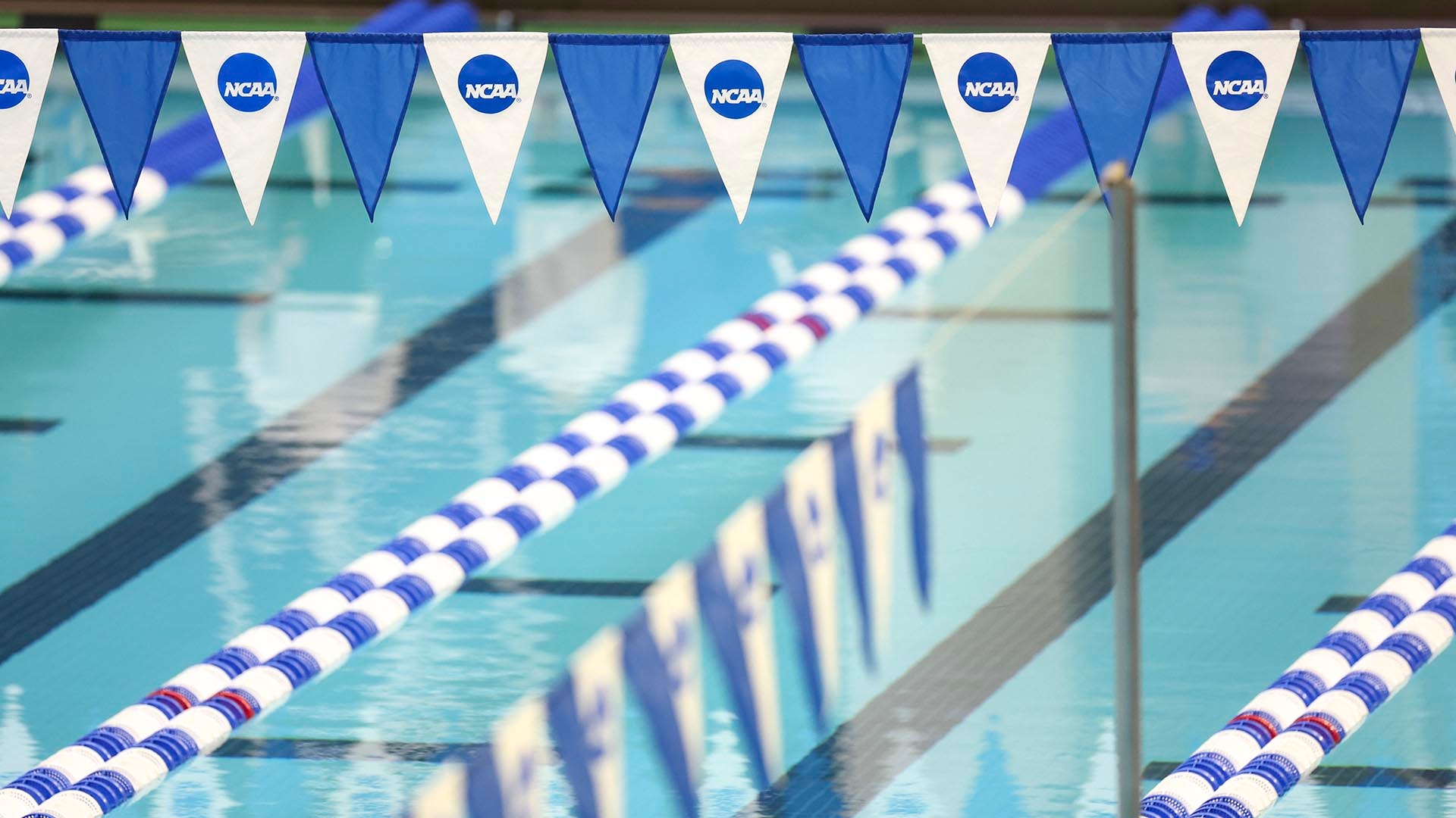 Panel approves clearer definition of bona fide competition in swimming and diving