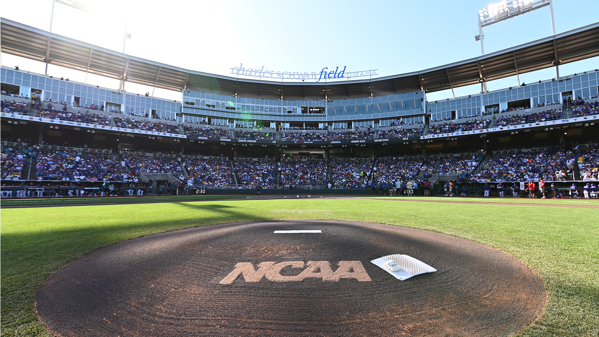 Jeff Gosney named national coordinator of baseball umpires