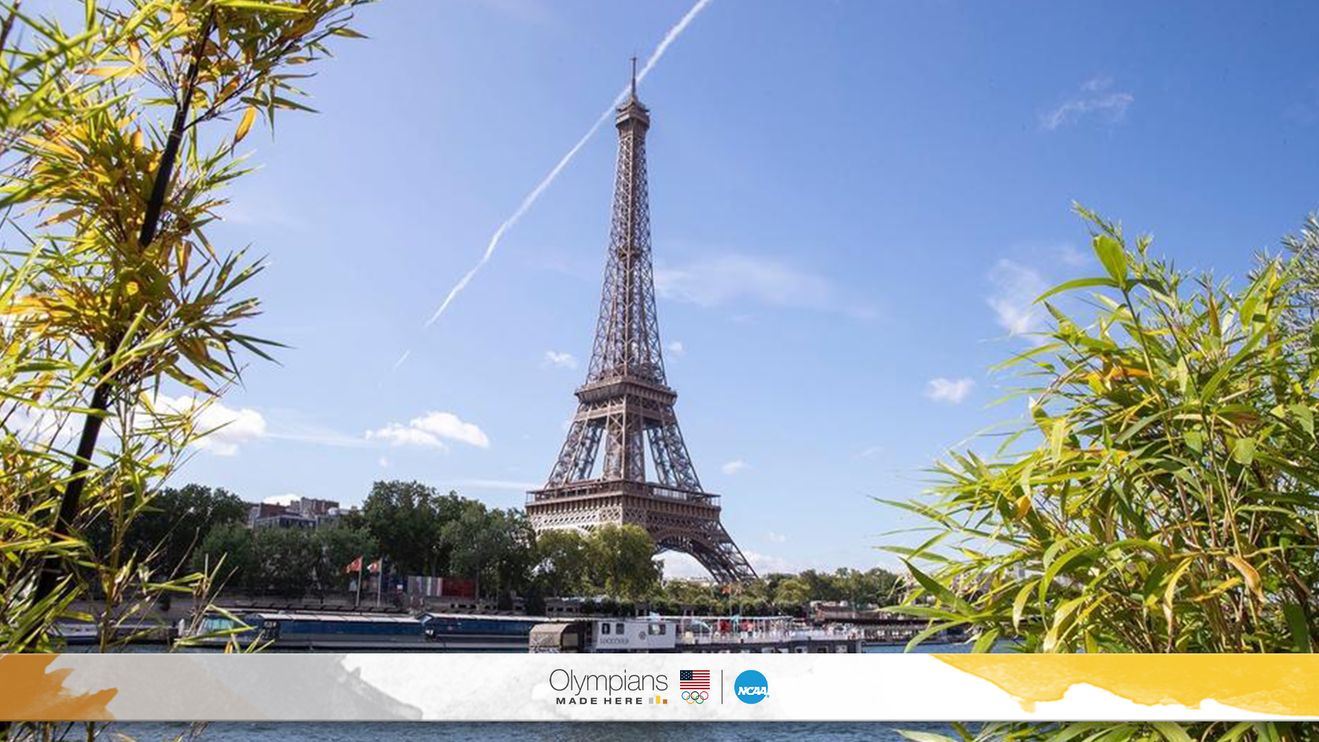 Countdown to 2024 Summer Olympics hits 1-year mark
