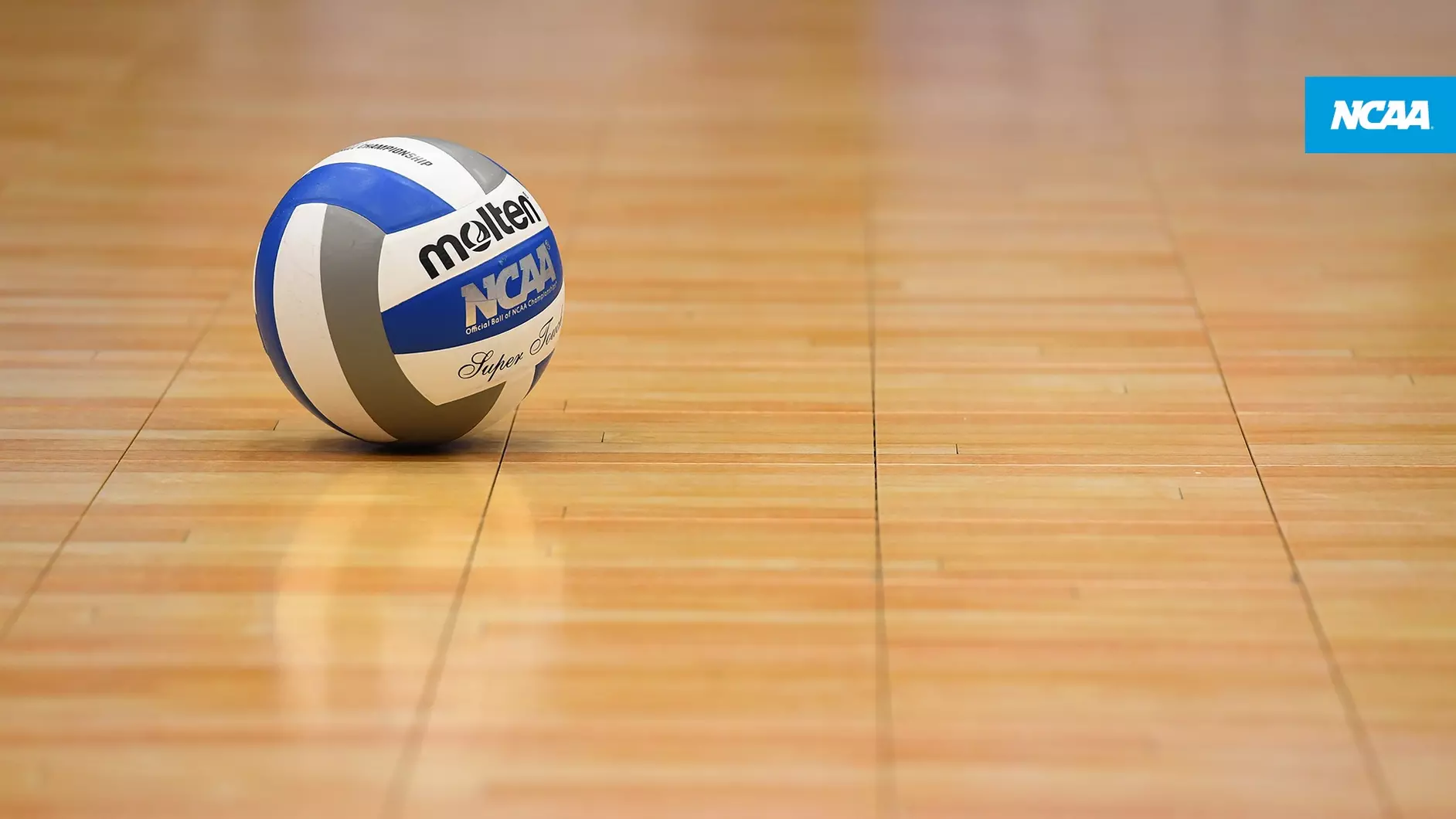 Volleyball Line Judge Initiative to launch later this month
