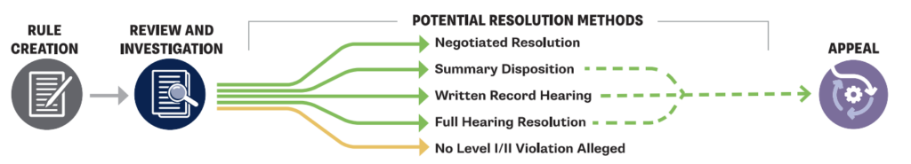 DI Enforcement Process