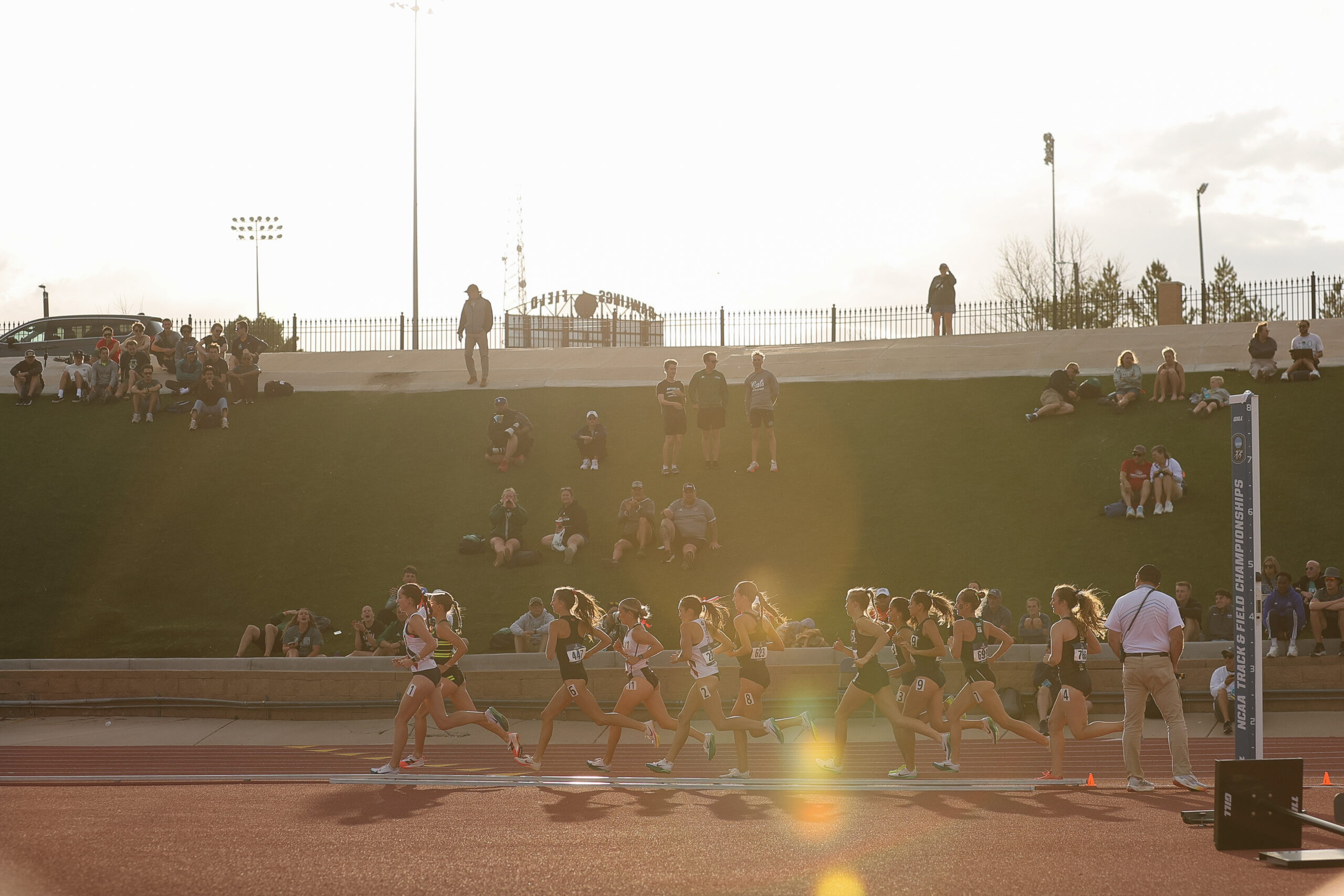 NCAA Division II Track and Field Championships
