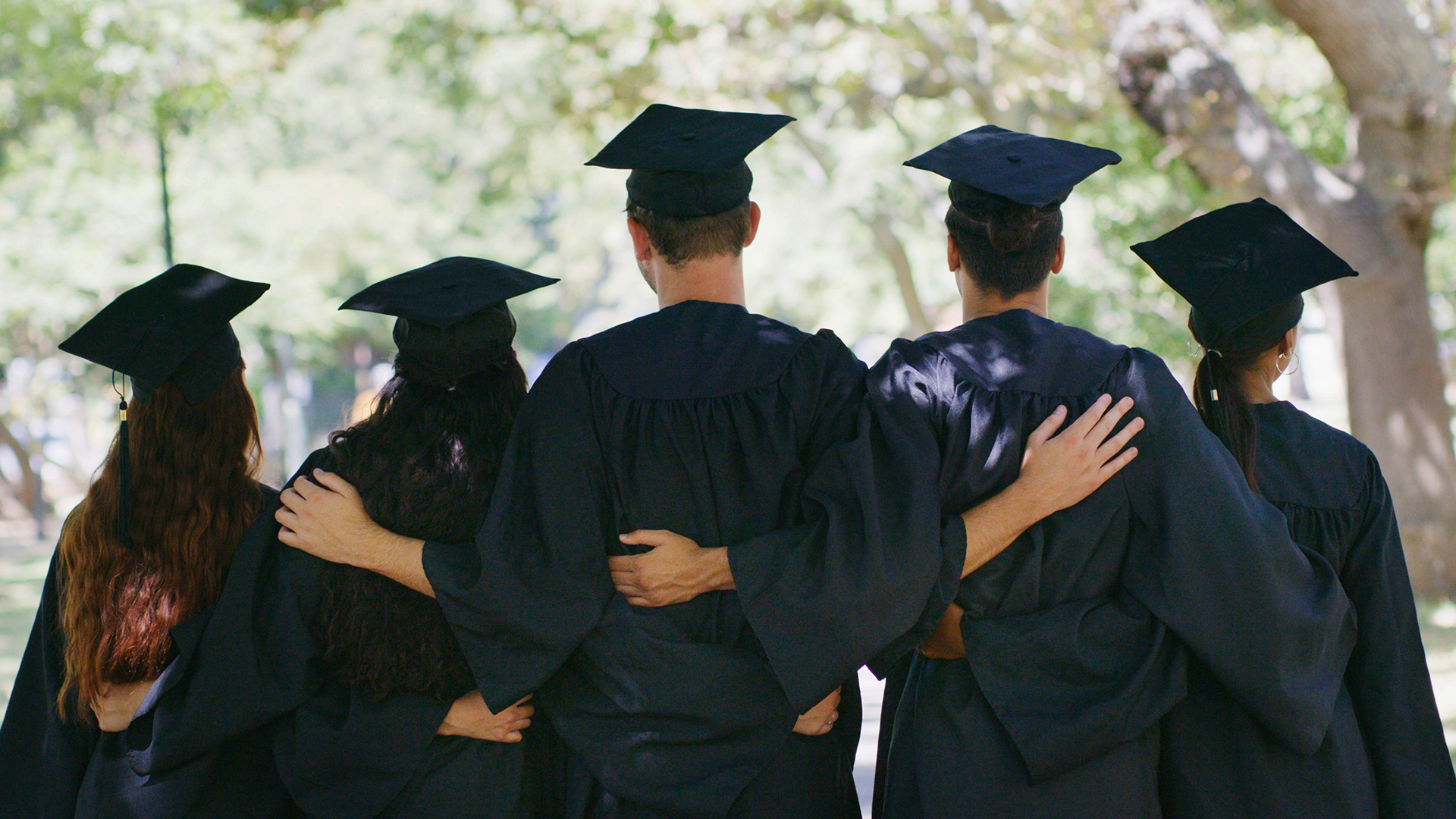 students in cap and gown with their backs to the viewer